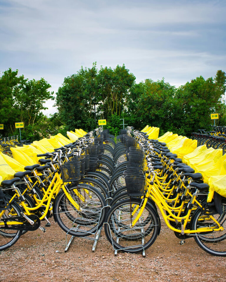 Bike racks filled with yellow bicycles on the campus